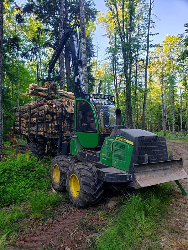 Forestry-3