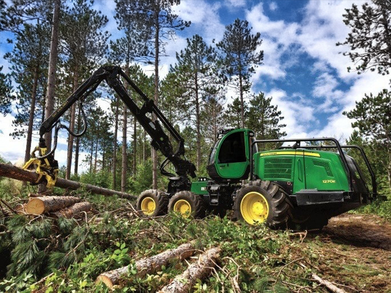 Forestry-4