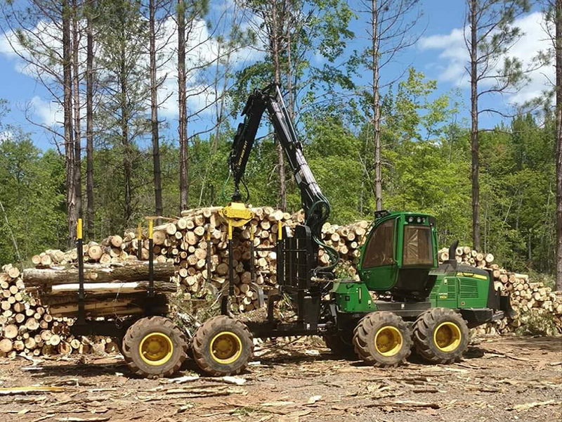 Forestry-5