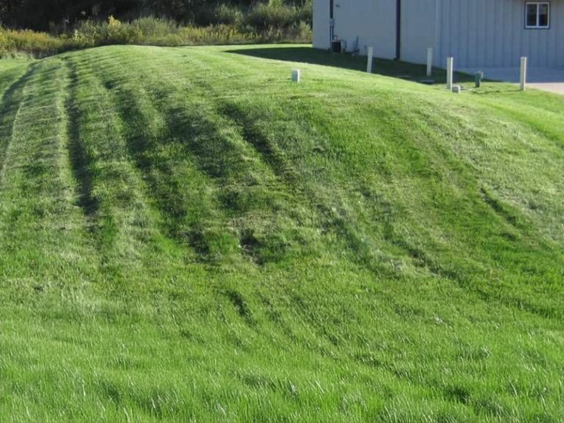 Septic-Field-1