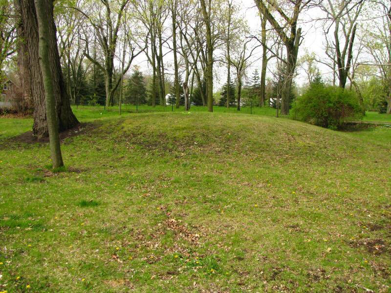 Septic-Field-2